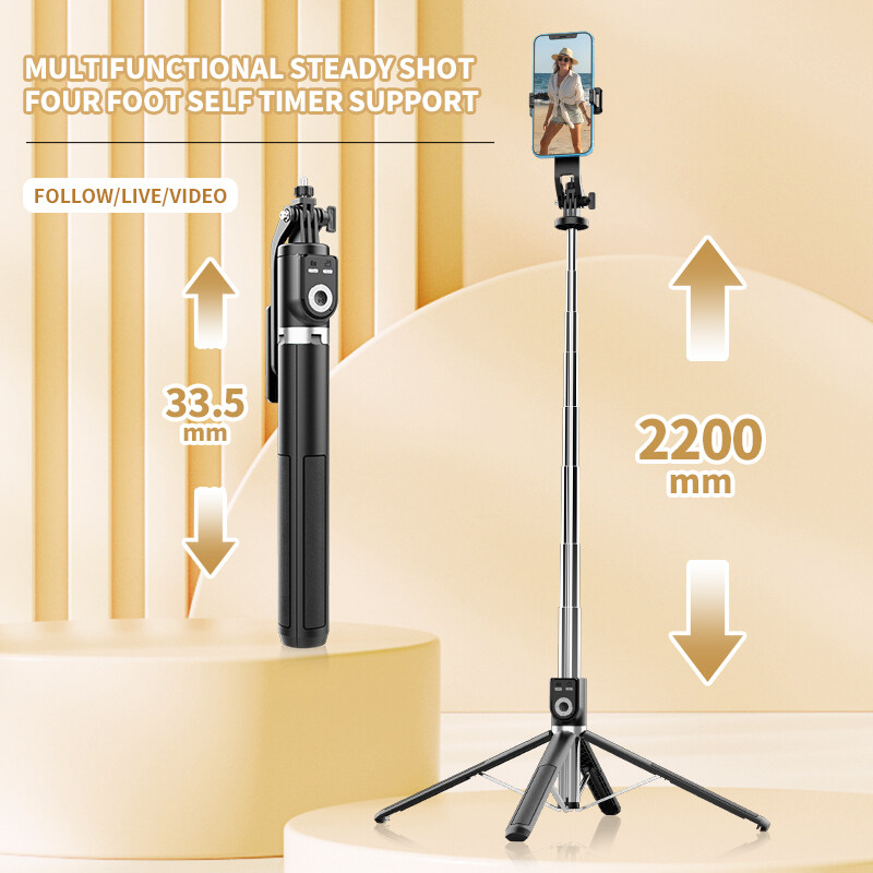Selfie 스틱 P220 무선 Selfie 스틱 삼각 - Photography Basics 리뷰 및 가격